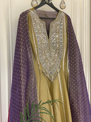 Noor-e-Zareen Tissue Anarkali