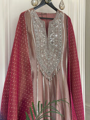 Noor-e-Zareen Tissue Anarkali