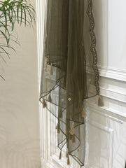 Zardozi Hand-Embellished Chinon Gown