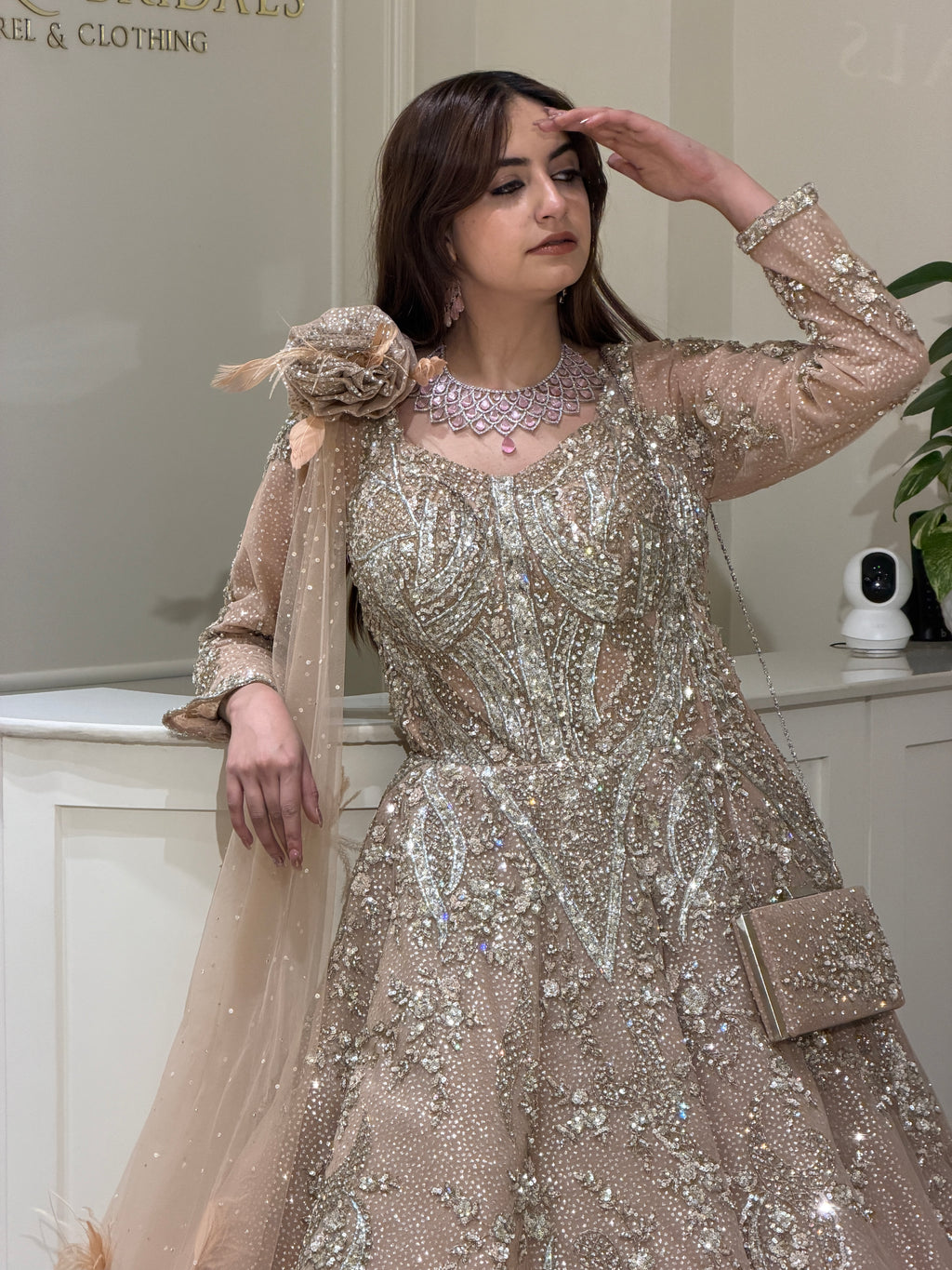 Pearl Dust Luxury Gown