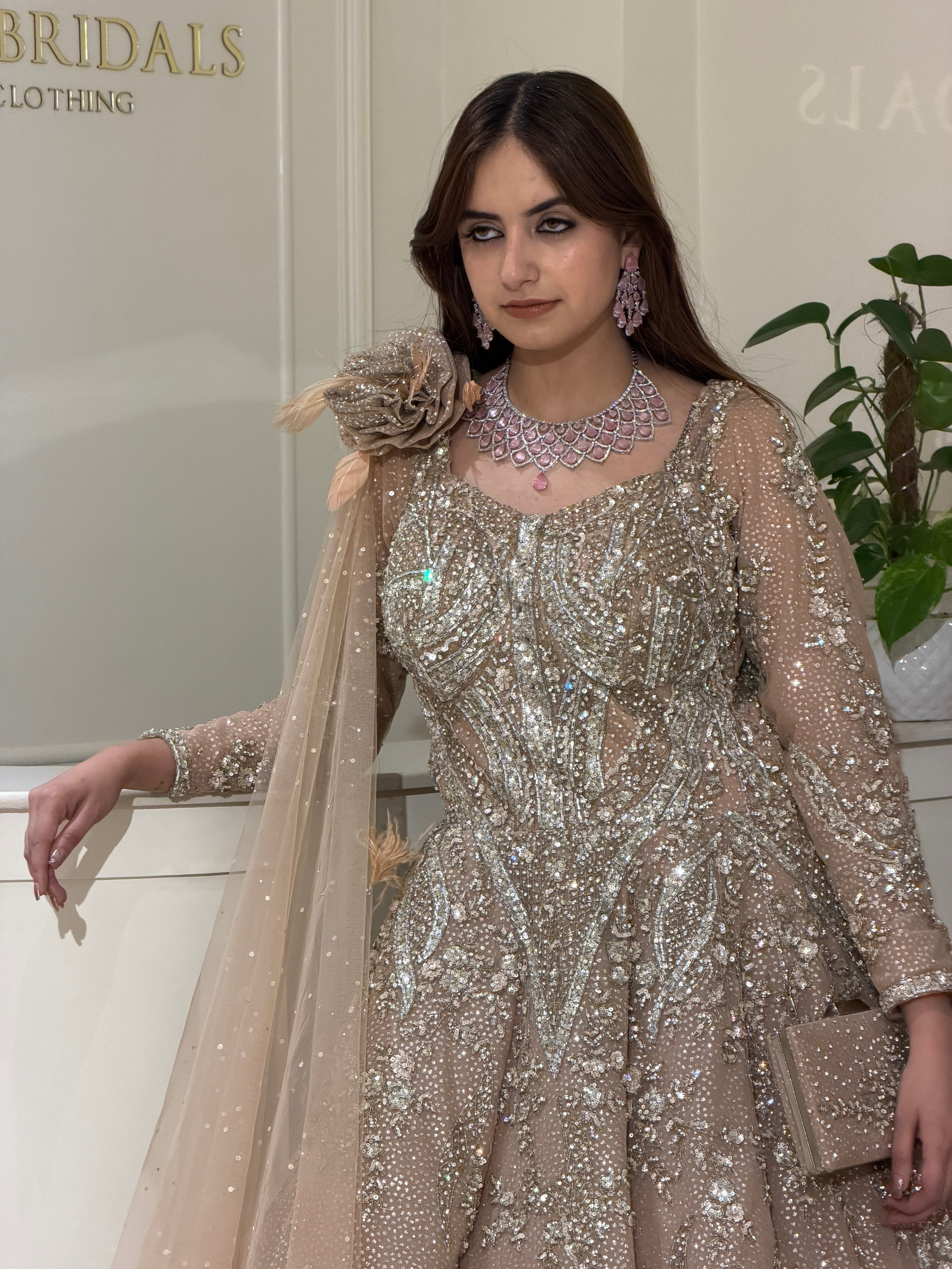 Pearl Dust Luxury Gown