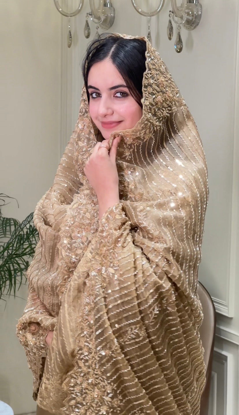 Royal Tissue Organza Suit Set