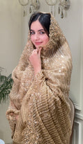 Royal Tissue Organza Suit Set