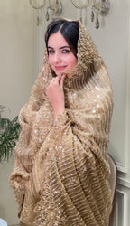 Royal Tissue Organza Suit Set