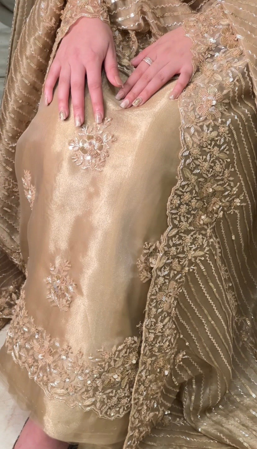 Royal Tissue Organza Suit Set