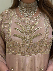Blush Royale Tissue Silk Luxury Anarkali