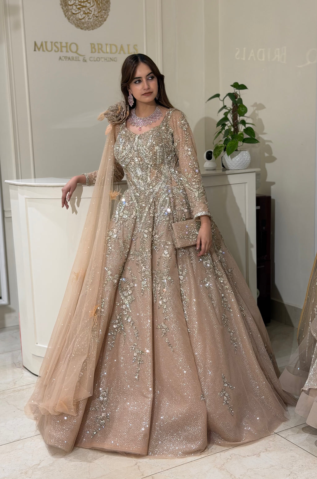 Pearl Dust Luxury Gown