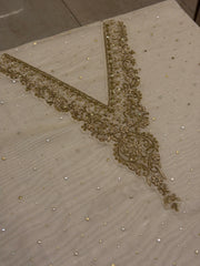 Champagne Beige Tissue Silk Suit Set