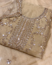 Aafreen Pastel Sparkle Suit Set