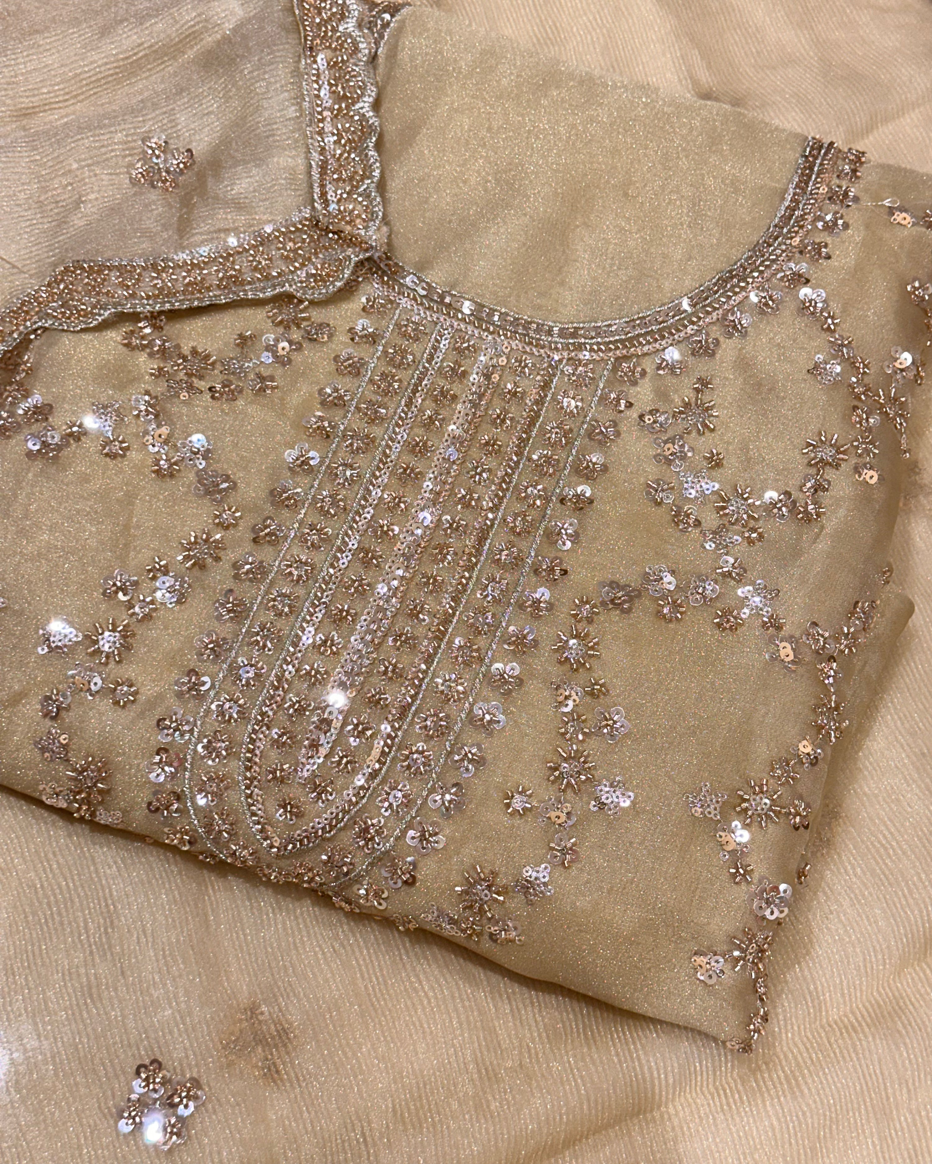 Aafreen Pastel Sparkle Suit Set