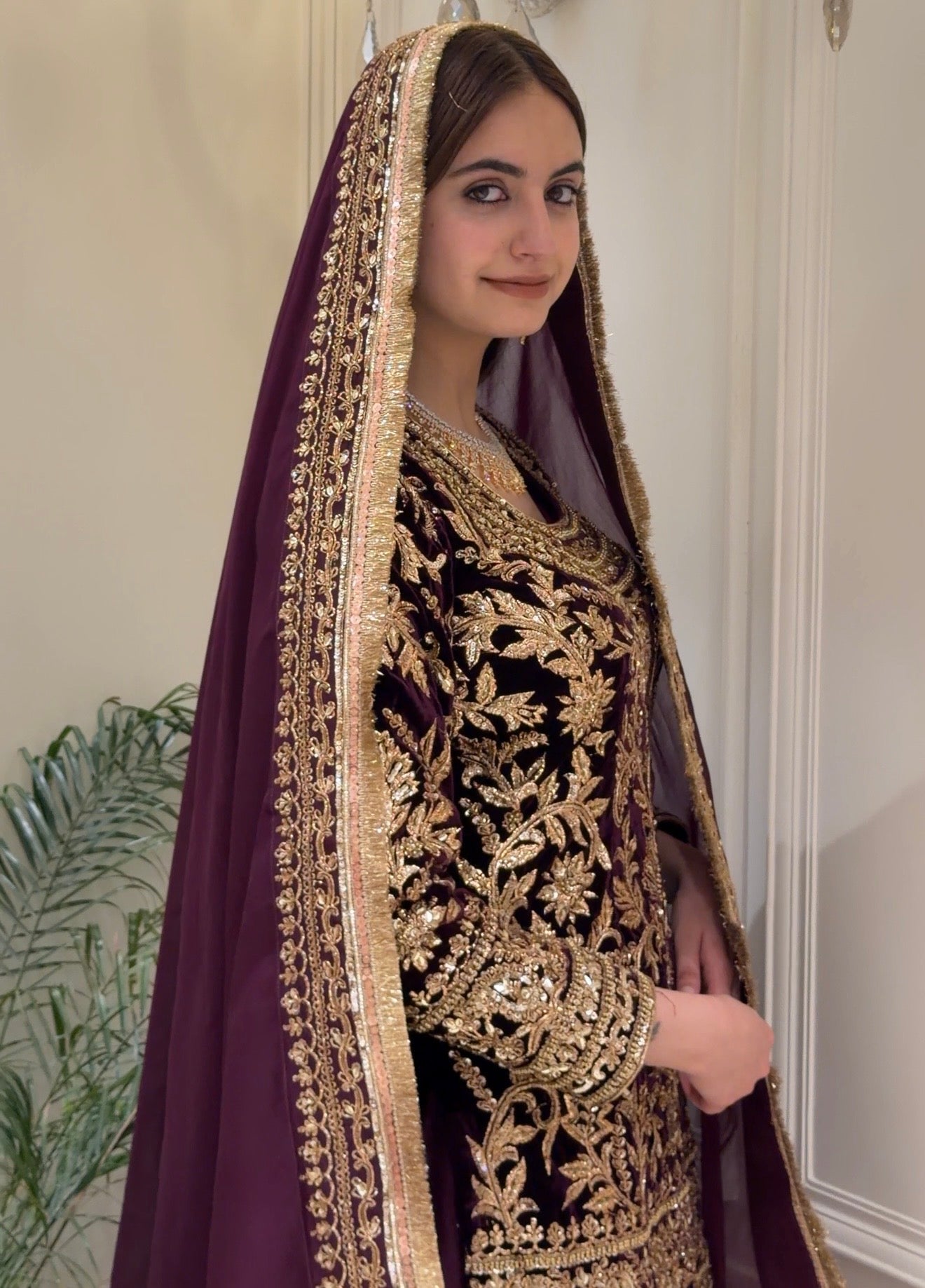 Noor-e-Sultan Velvet Sharara Set with Potli