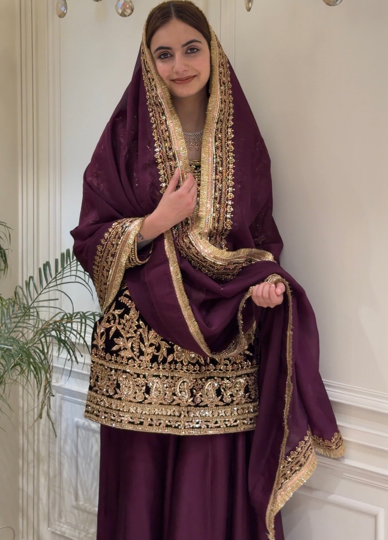 Noor-e-Sultan Velvet Sharara Set with Potli