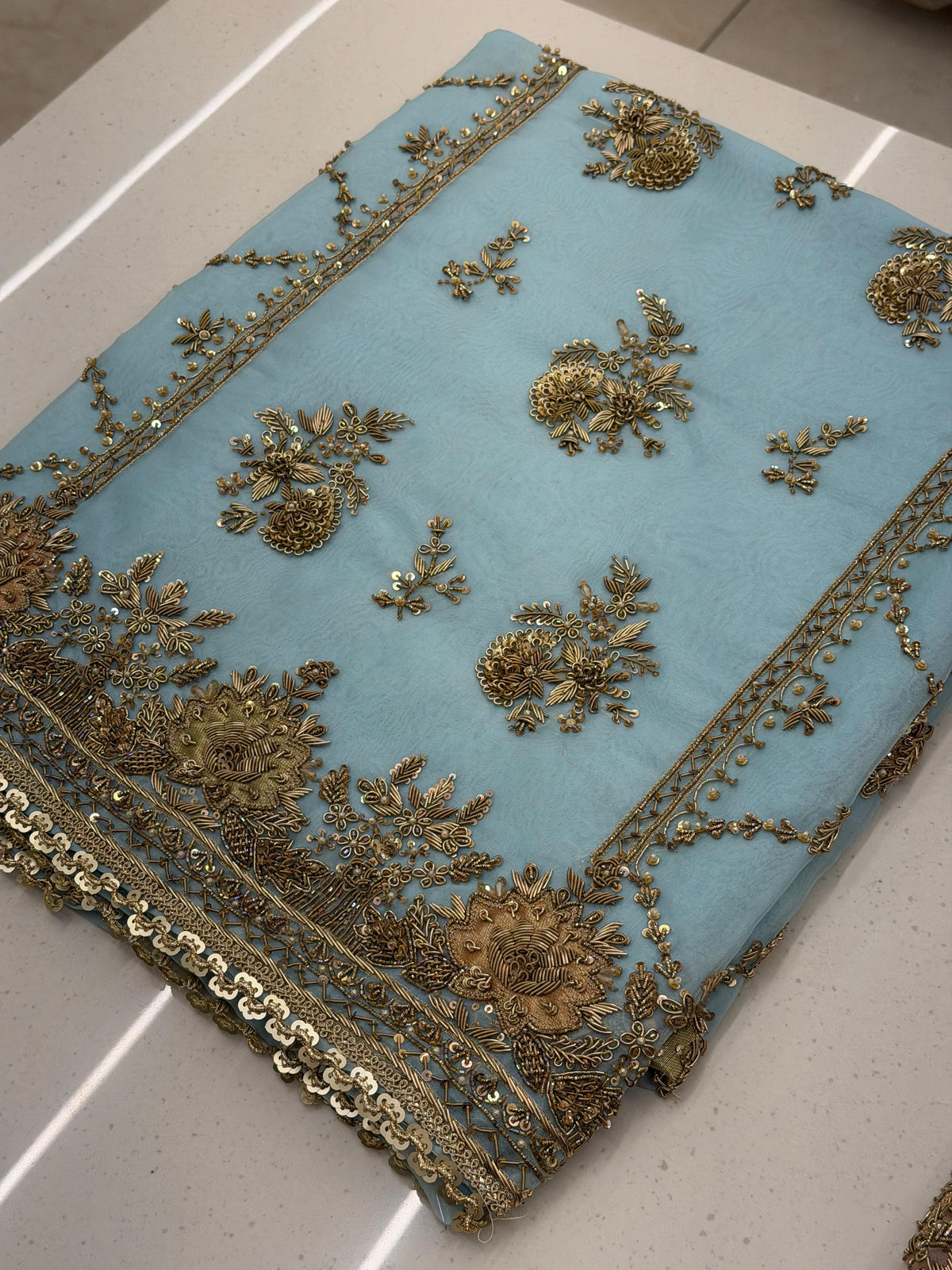 Champagne Garden – Pure Organza Embroidered Suit