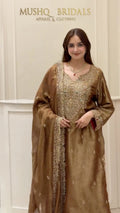 Noor-e-Zareen Tissue Luxury Suit Set