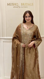 Noor-e-Zareen Tissue Luxury Suit Set