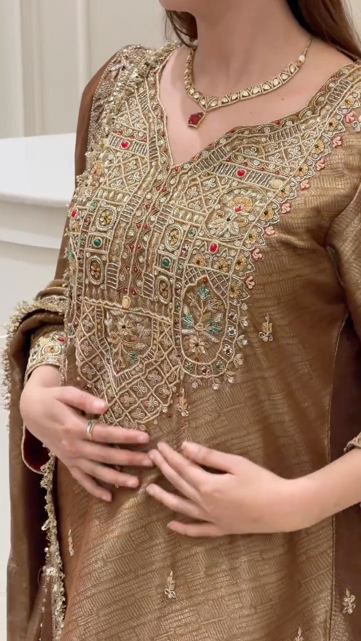 Noor-e-Zareen Tissue Luxury Suit Set