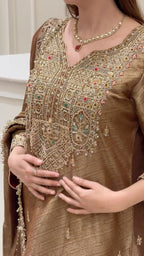 Noor-e-Zareen Tissue Luxury Suit Set
