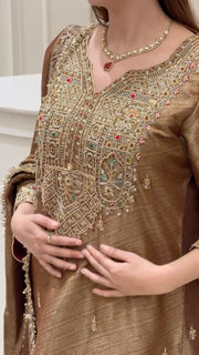 Noor-e-Zareen Tissue Luxury Suit Set