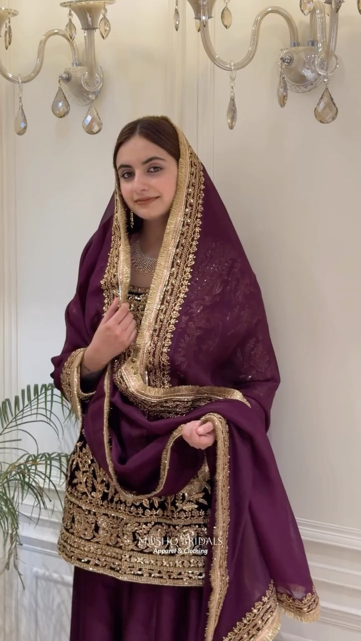 Noor-e-Sultan Velvet Sharara Set with Potli