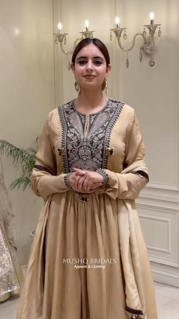 Noor-e-Zar Crush Tissue Anarkali